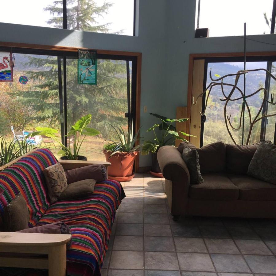 Sequoia Forest Retreat Badger Exterior photo